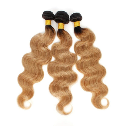 Lace Front Ombre Wave Bundle